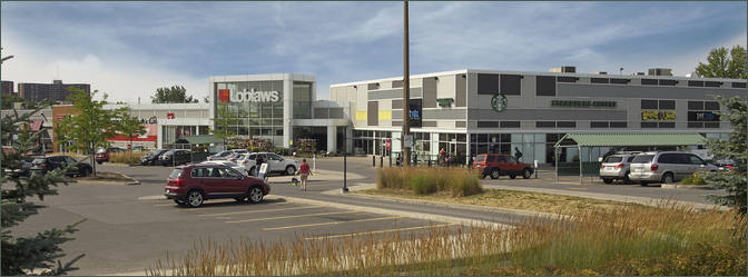                         	Loblaws Plaza
                        